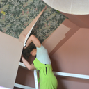 Paste the Wall vs Peel and Stick