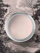 Pink Cloud