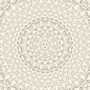 Papilion Magnolia Wallpaper