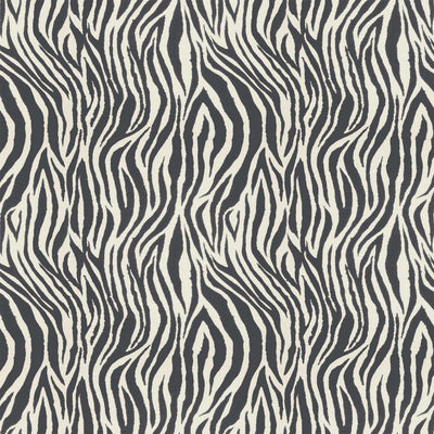Debra Zebra Ash Wallpaper