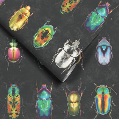 Beetle Jewels Multi Black Wallpaper
