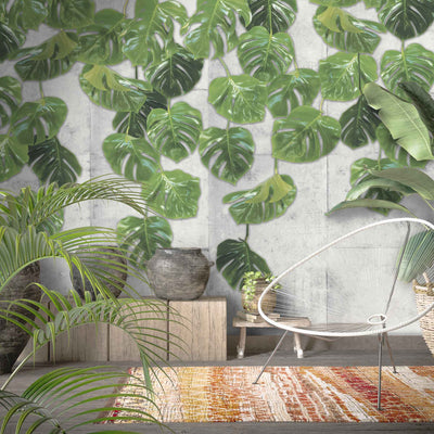 Real Monstera Wallpaper Mural By Woodchip & Magnolia
