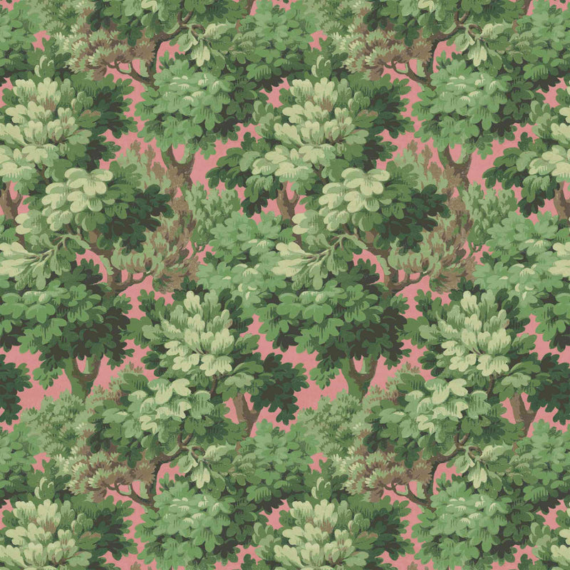 Broadhead Forest Grass Green/Salmon Wallpaper