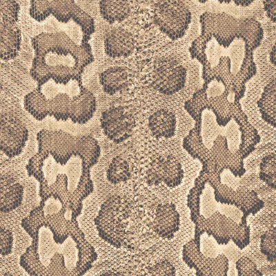 Love Her Madly in Python Wallpaper