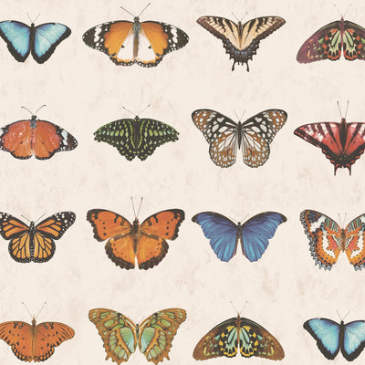 Butterfly Wallpaper - Insect Wallpaper For Walls - Woodchip & Magnolia 