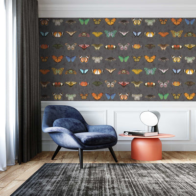 Butterfly Wallpaper  - Insect Wallpaper For Walls - Woodchip & Magnolia 