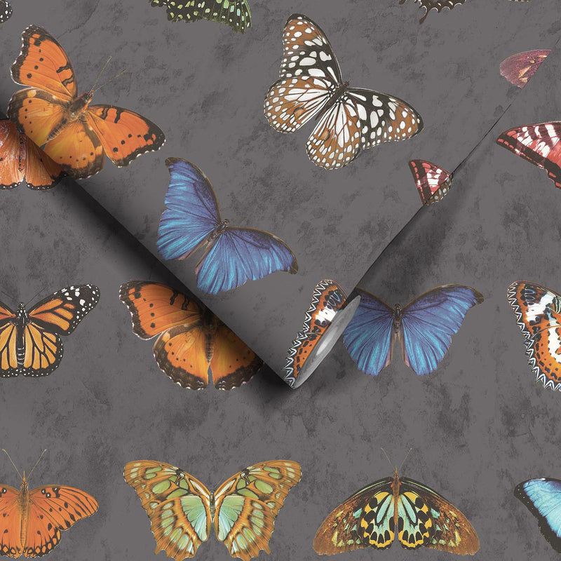 Lepidoptera Charcoal Wallpaper