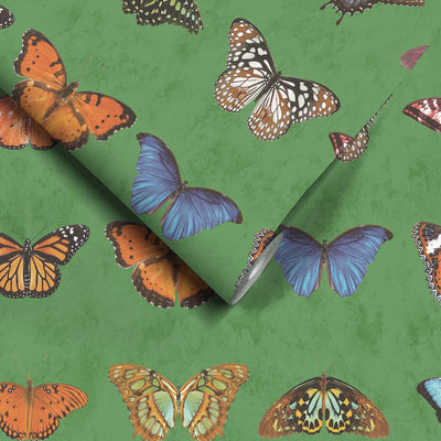 Lepidoptera Willow Green Wallpaper