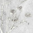 Meraki Concrete Effect Botanical Wallpaper