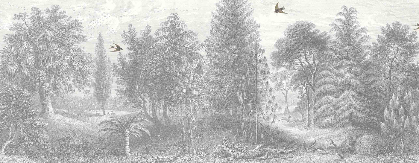 Light Coloured Murals