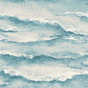 Shells 'n' Waves