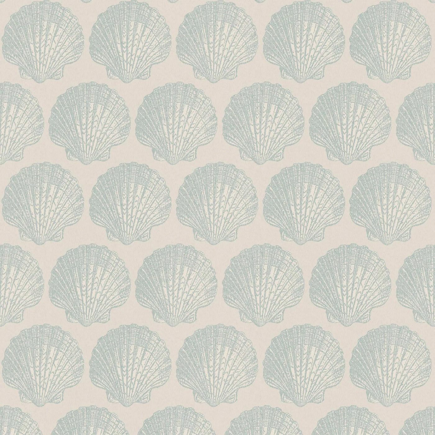 Shells