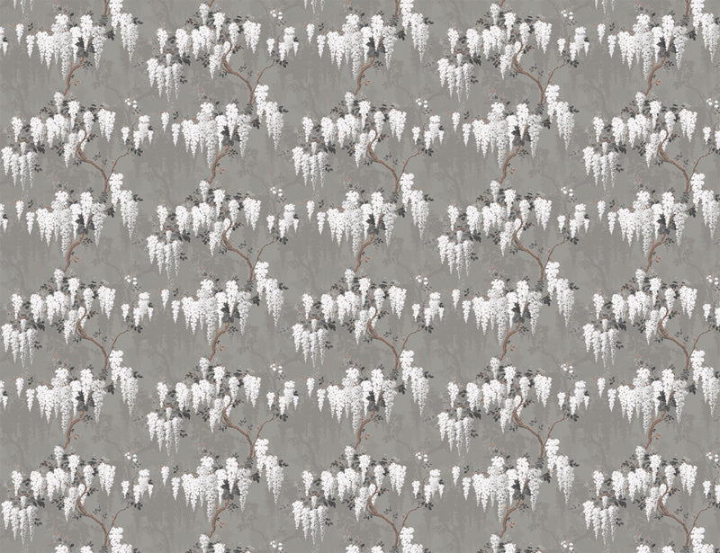 Wisteria in Latte/Slate Grey Wallpaper