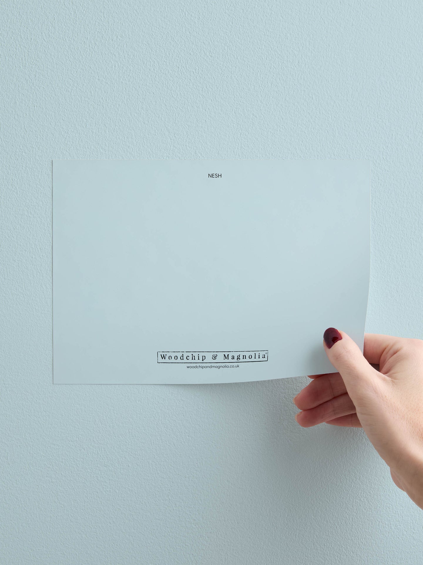 Eco-Friendly Materials in Singapore: 2025 Design Trends Every Homeowner ...