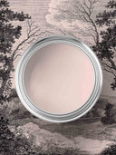 Pink Cloud