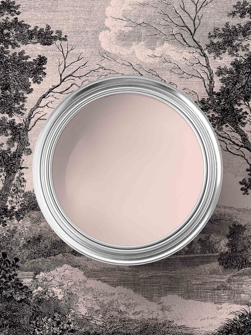 Pink Cloud