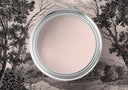 Paint
