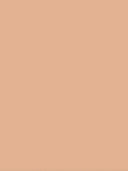 Sherbet Dip
