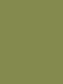 Paint samples