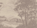 Zephyr - Just Trees Vintage Sepia Mural