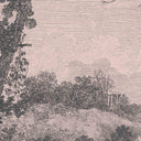 Zephyr - Just Trees Pink Cloud Mural