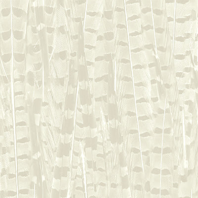 Pheasant Magnolia Wallpaper