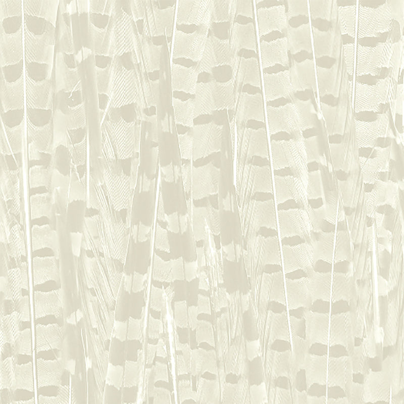 Pheasant Magnolia Wallpaper