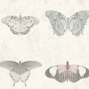 Lepidoptera Pastel Wallpaper