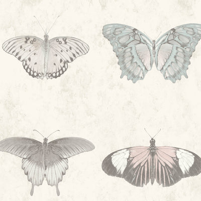 Lepidoptera Pastel Wallpaper