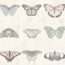 Lepidoptera Pastel Wallpaper