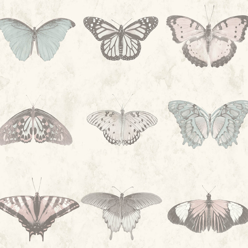 Lepidoptera Pastel Wallpaper