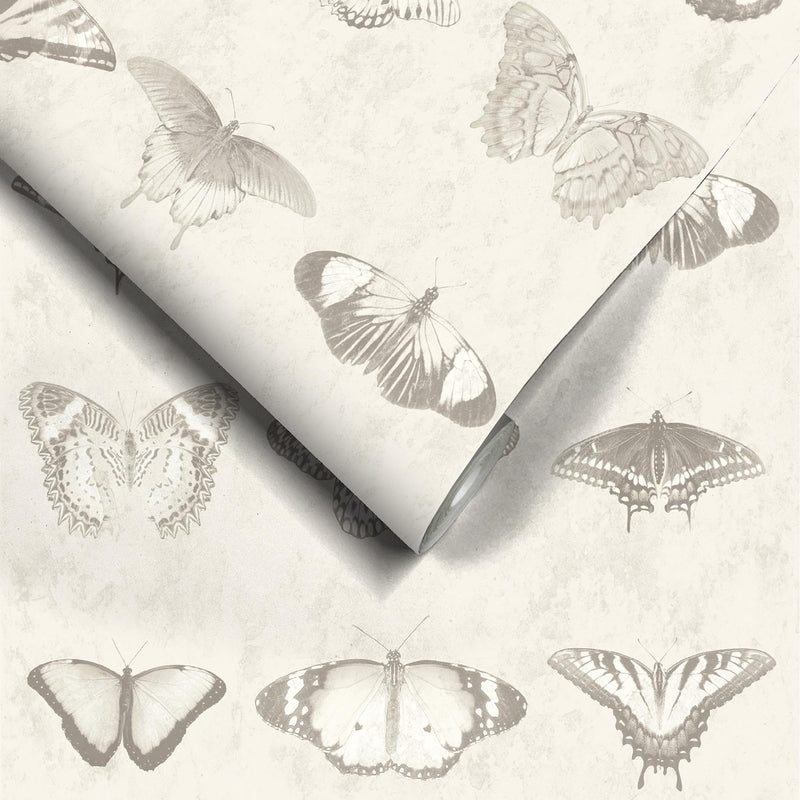 Lepidoptera Magnolia Wallpaper