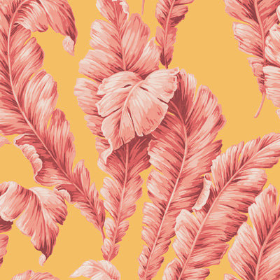 Lets Go Bananas Pink/Yellow Wallpaper