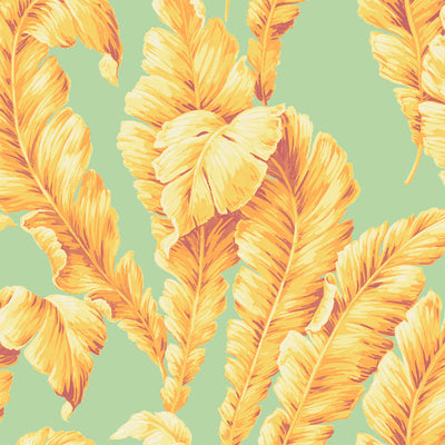 Lets Go Bananas Aqua/Yellow Wallpaper