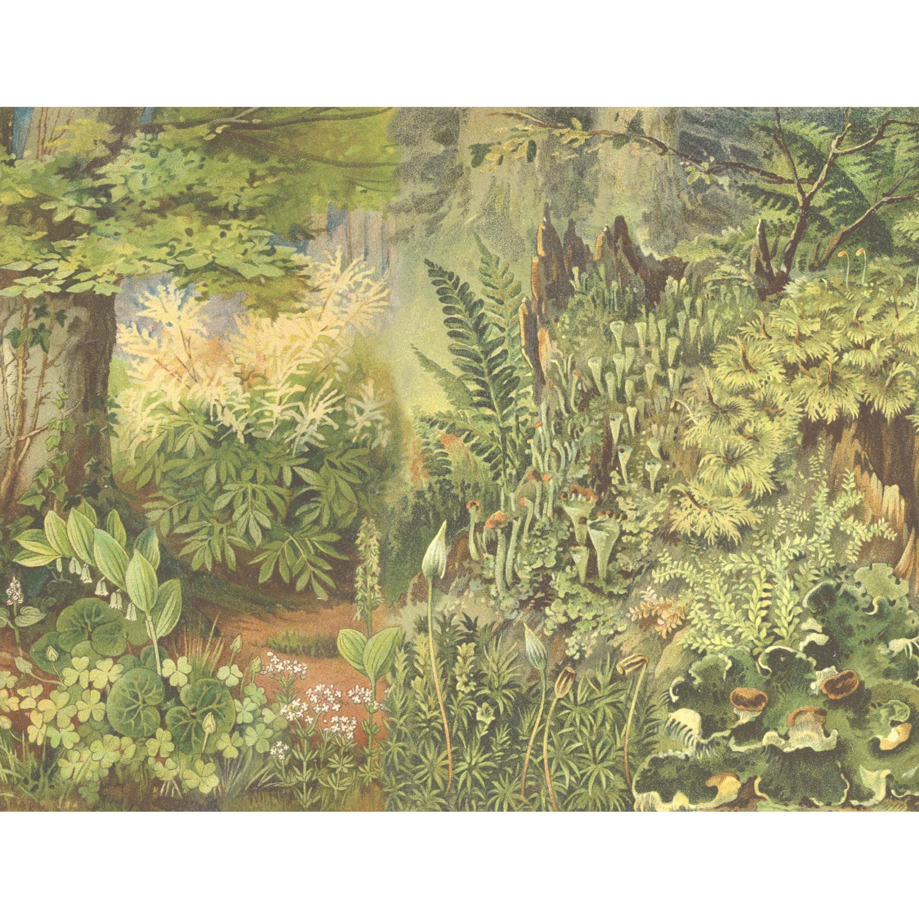 Biophilia Botanical Ready Made Wall Mural Wallpaper Lush, Green