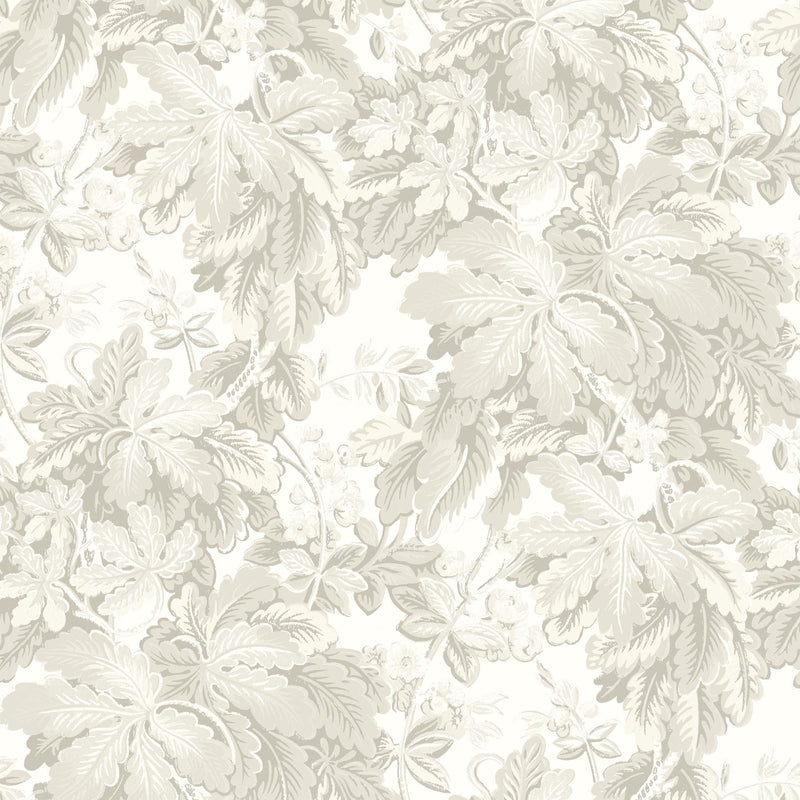 Avar Magnolia Wallpaper