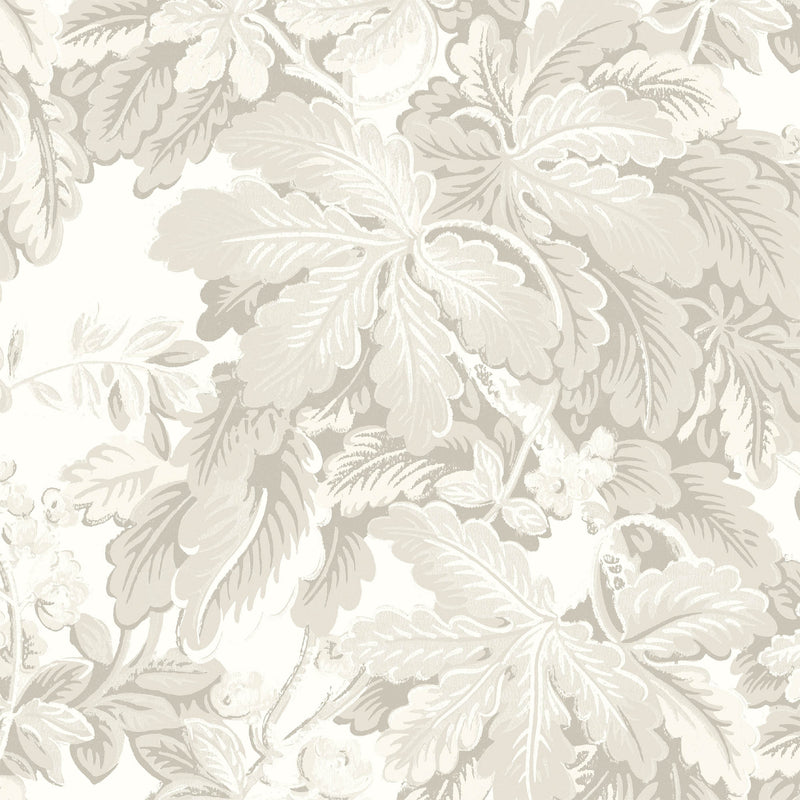 Avar Magnolia Wallpaper