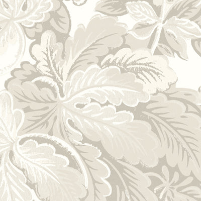 Avar Magnolia Wallpaper