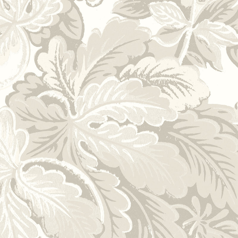 Avar Magnolia Wallpaper