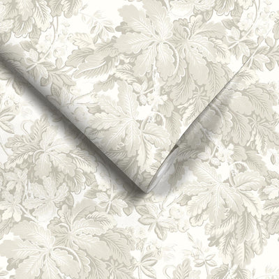 Avar Magnolia Wallpaper