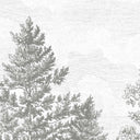 <h4>Browse our<em> Paints</em> that pair beautifully with your vintage <em>Murals!</em></h4>