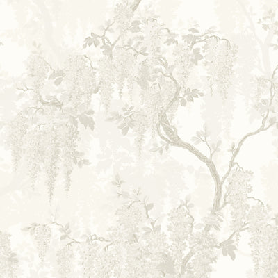 Wisteria Magnolia Wallpaper