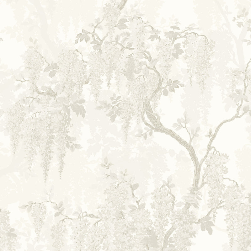 Wisteria Magnolia Wallpaper