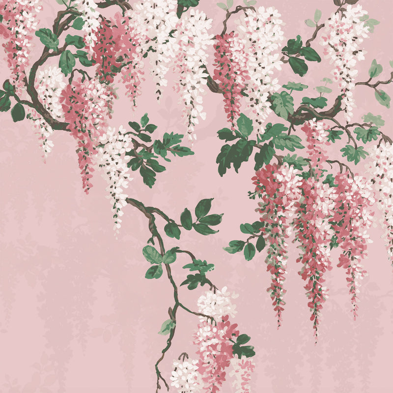 Wisteria Botanical Pink Bloom Ready Made Mural