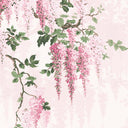 Wisteria Botanical Pretty Pink Border