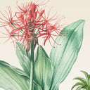 Palmira Ready Made Mural