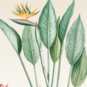 Palmira Ready Made Mural