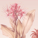 Palmira Spice Ready Made Mural