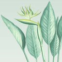 Palmira Duck Egg Ready Made Mural