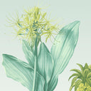 Palmira Duck Egg Ready Made Mural